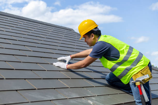Best Metal Roofing Contractor  in Louisville, TN